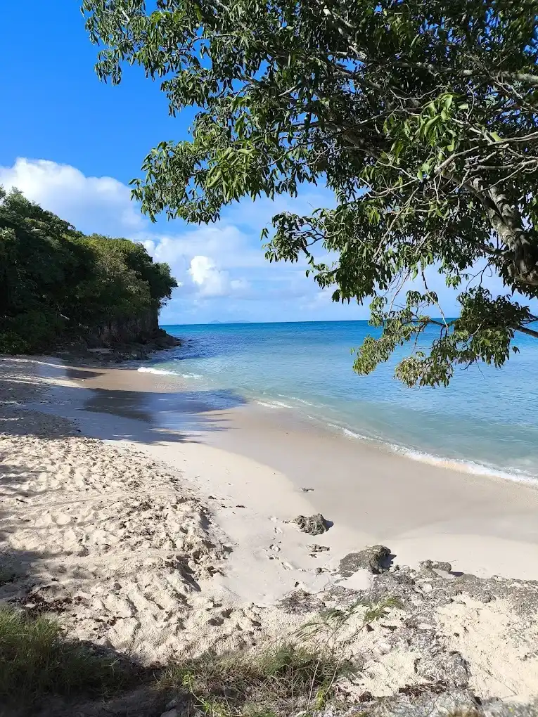 Anse Bambou