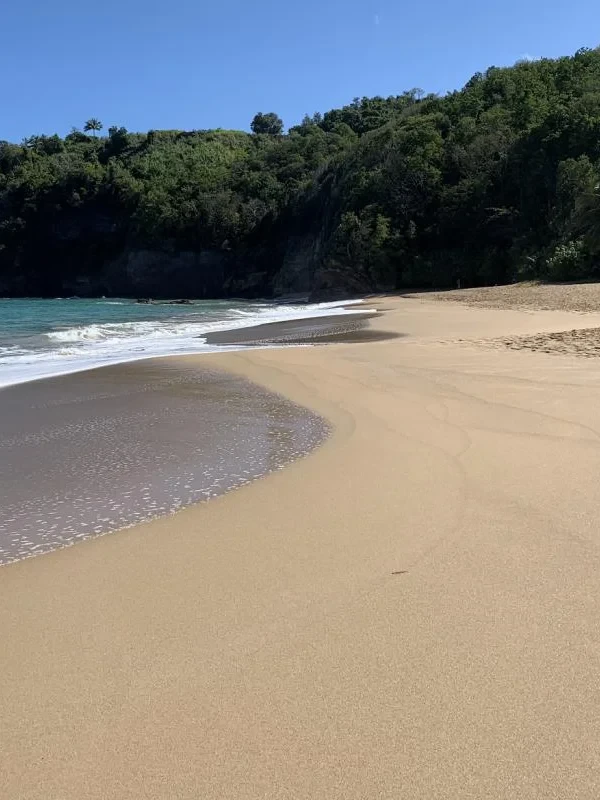 Anse Tillet