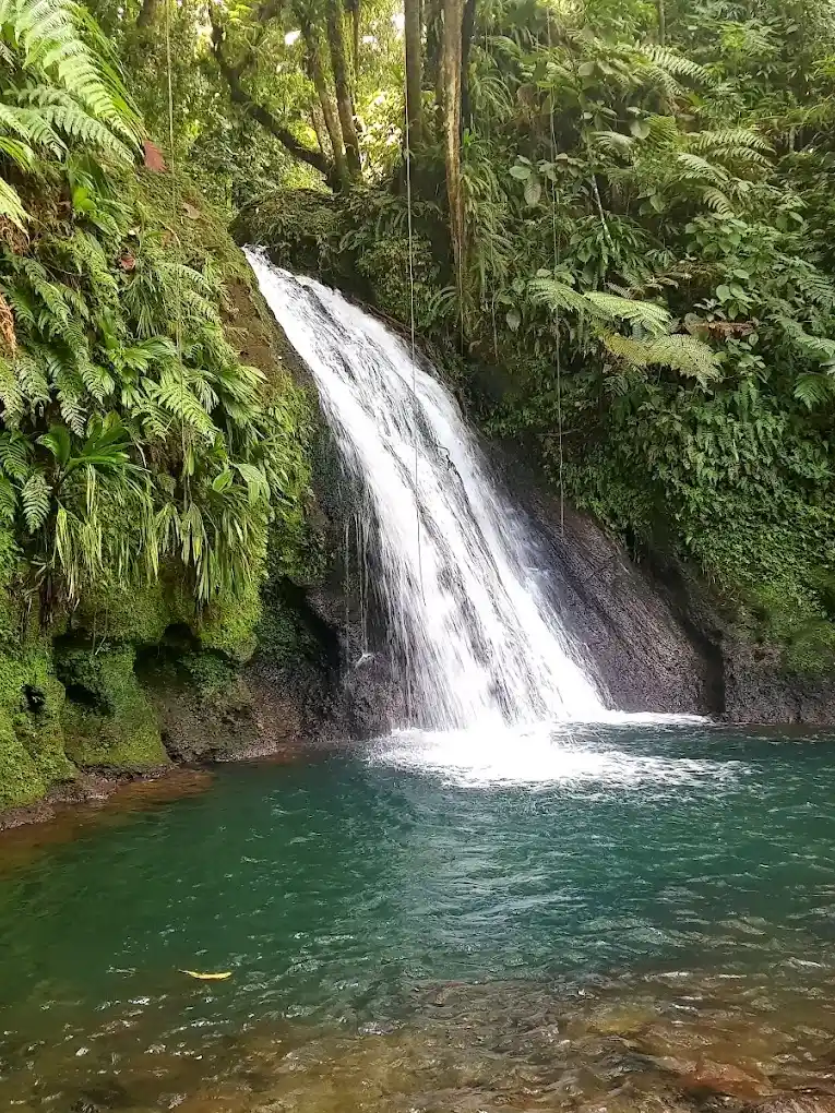 Cascade aux écrevisses