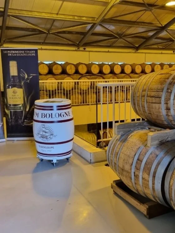 Distillerie Bologne