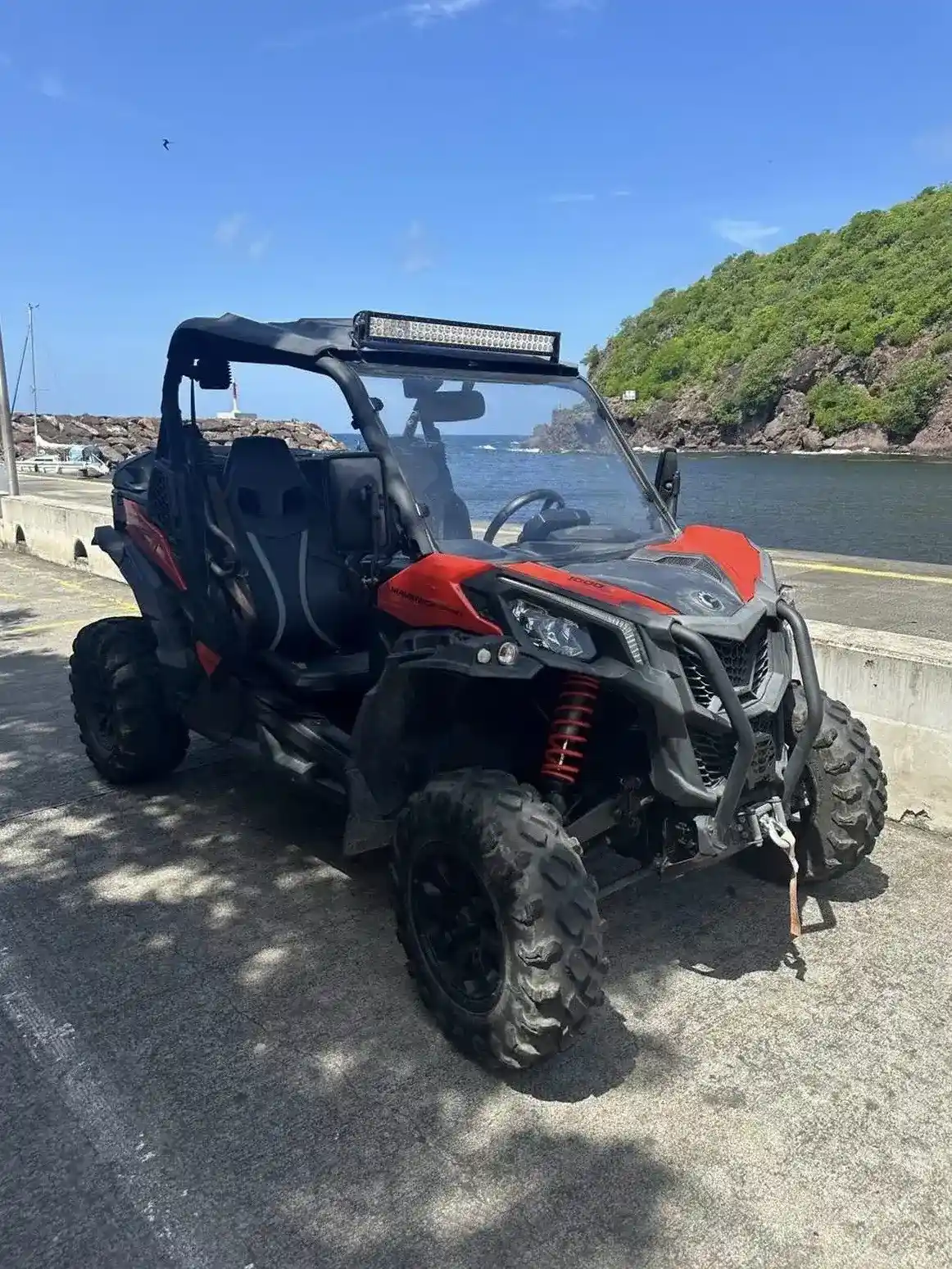 Iguana Location