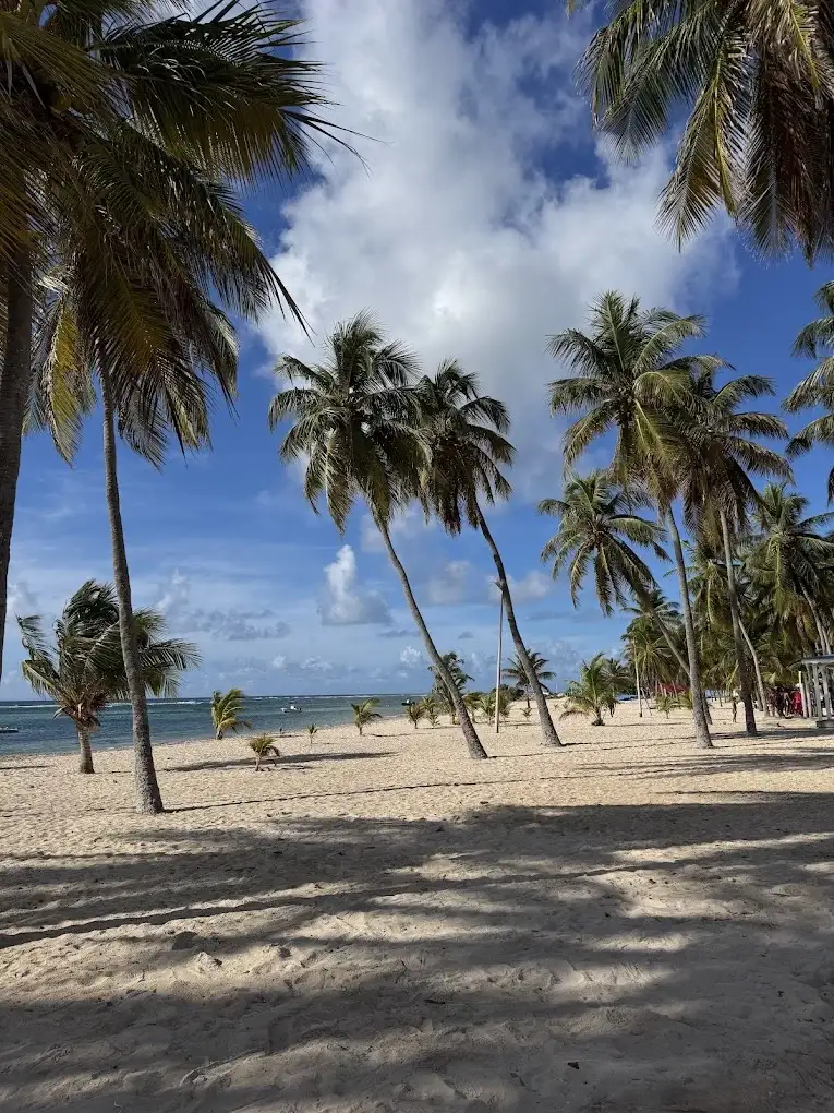 Plage à Fifi