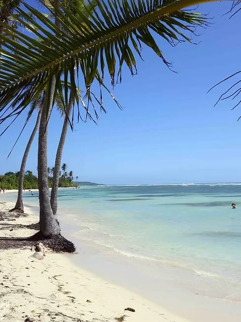 Plage de Bois Jolan