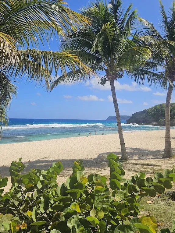 Anse Laborde