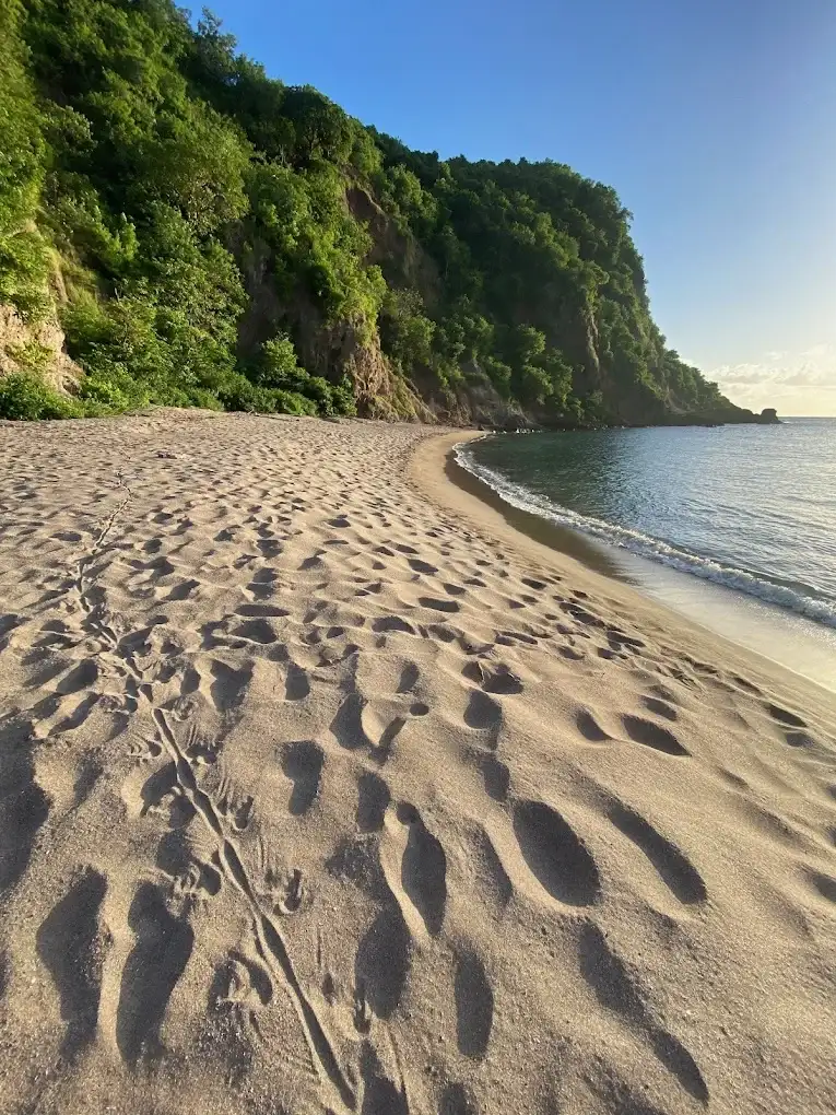 Plage de Petite Anse