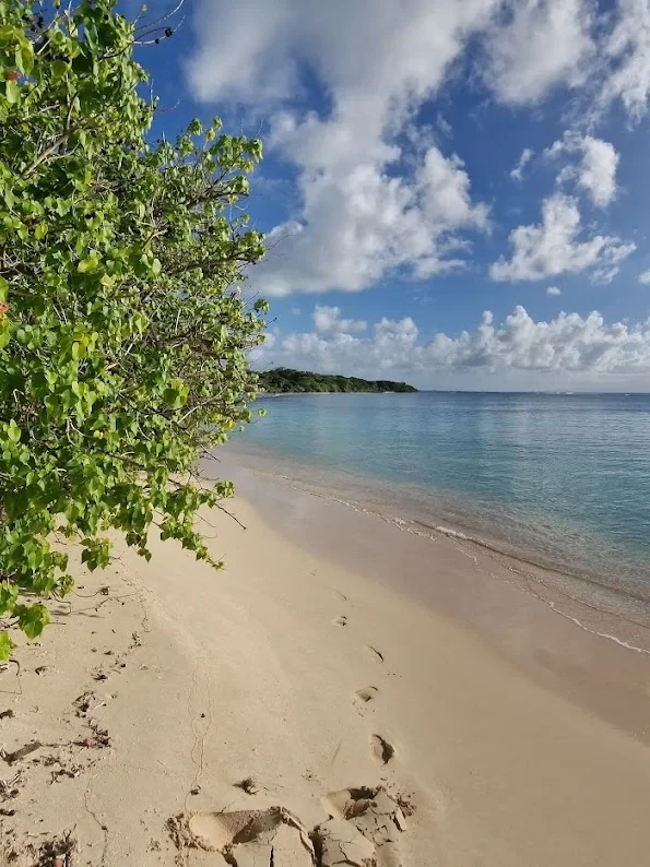 Pointe d'Antigue