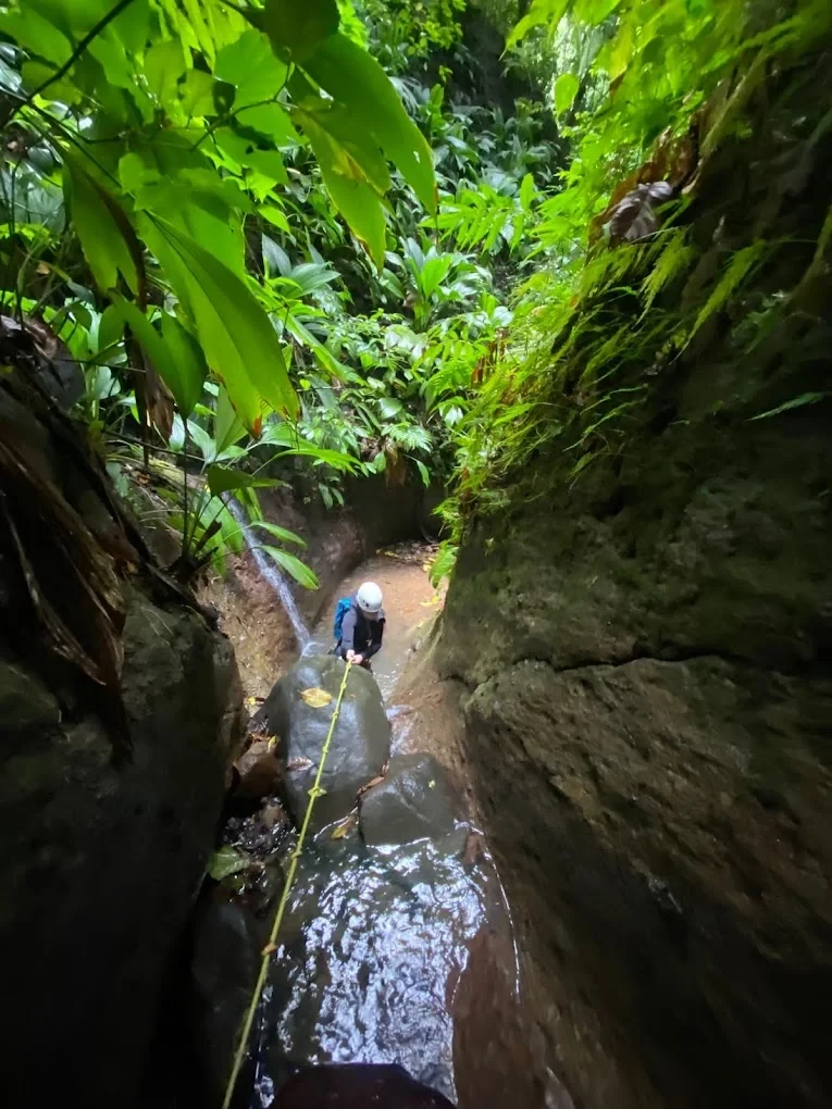 Wild Canyon